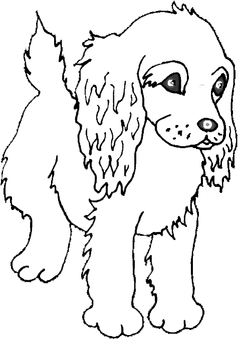 coloring pictures of cute animals quirky artist loft 39cuties39 free animal coloring pages of pictures animals coloring cute 