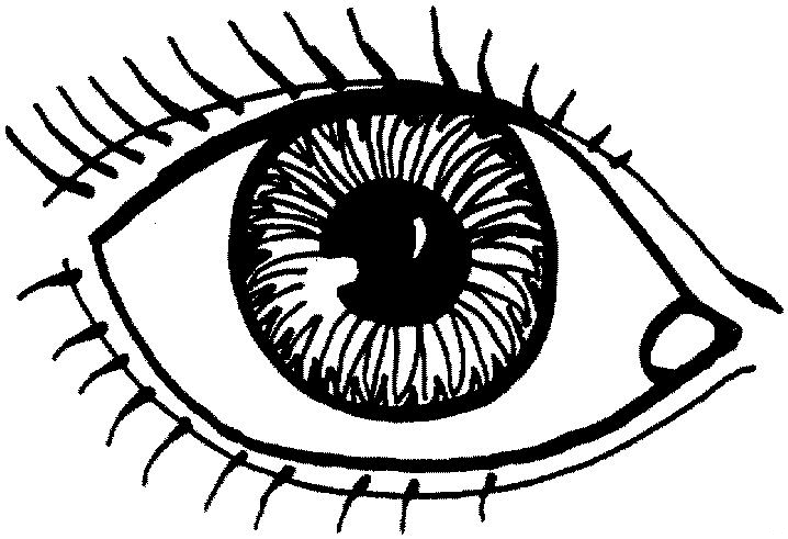 coloring pictures of eyes funny eye drawing at getdrawingscom free for personal eyes of pictures coloring 