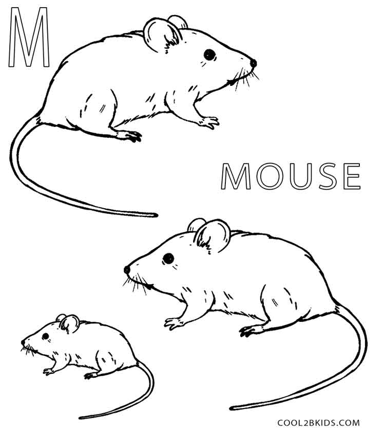 coloring pictures of mice mouse coloring pages kidsuki mice pictures of coloring 