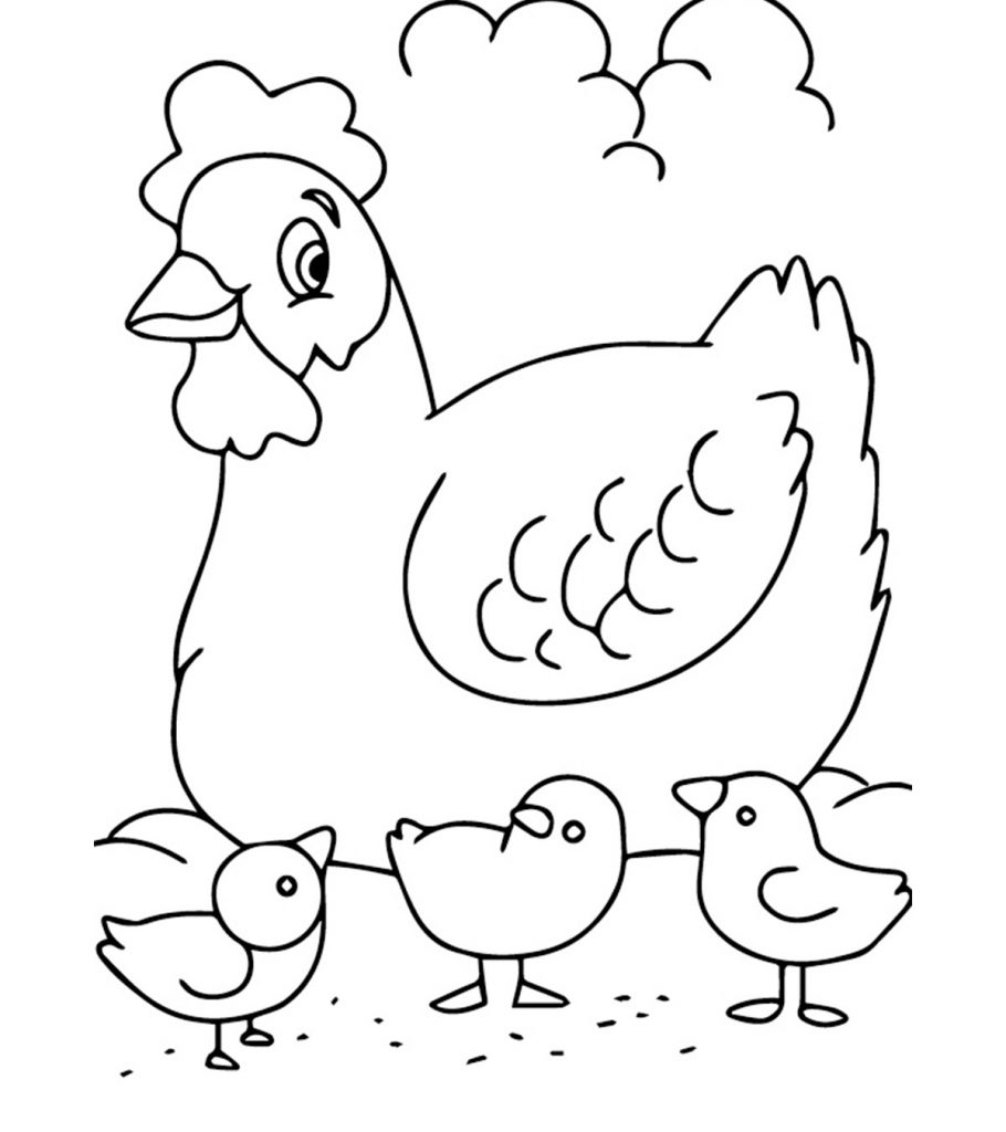 coloring sheets farm animals top 10 free printable farm animals coloring pages online farm animals sheets coloring 