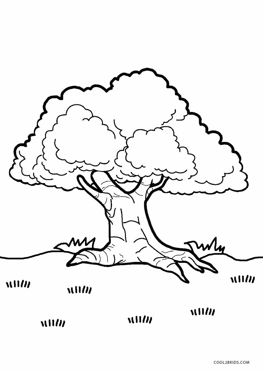 coloring trees free printable tree coloring pages for kids cool2bkids trees coloring 