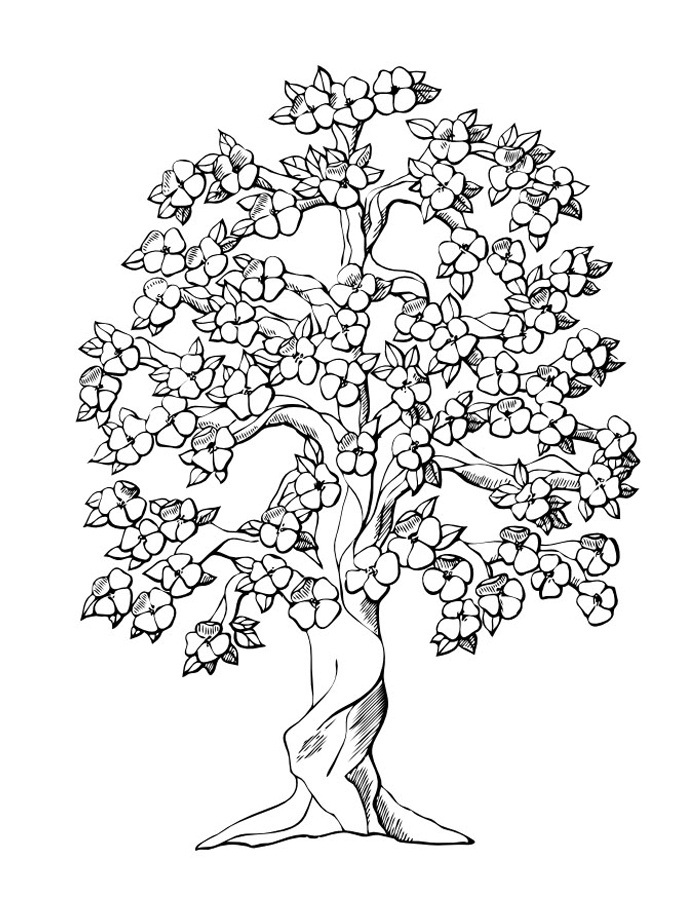 coloring trees free printable tree coloring pages for kids trees coloring 1 5