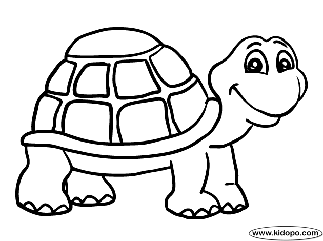 coloring turtles turtle 1 coloring page coloring turtles 