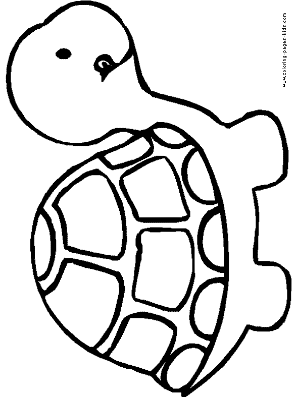 coloring turtles turtle coloring page only coloring pages coloring turtles 