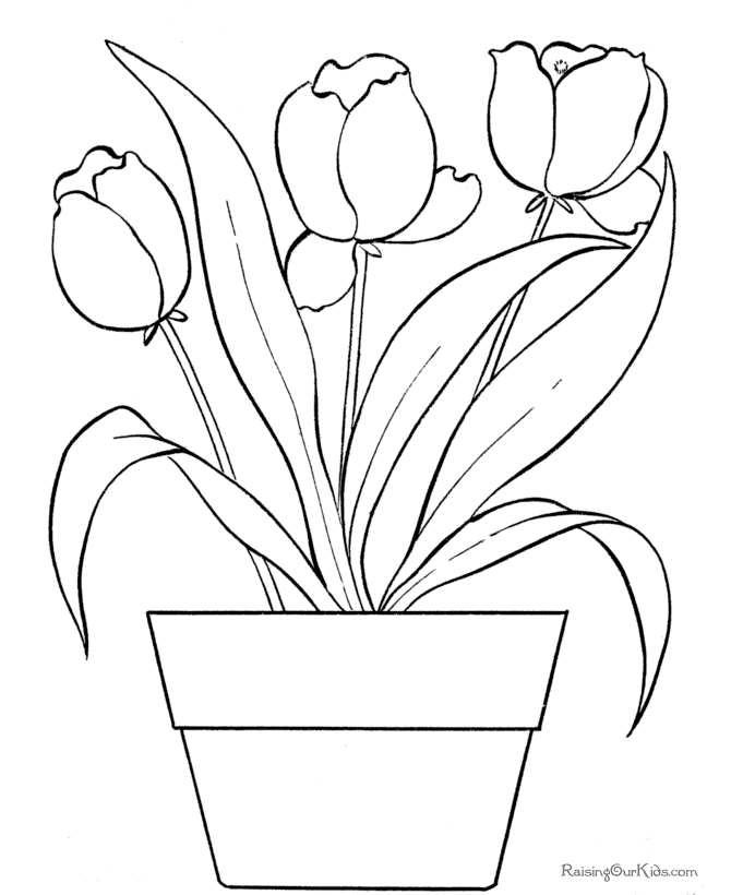 colouring flowers flower coloring pages colouring flowers 