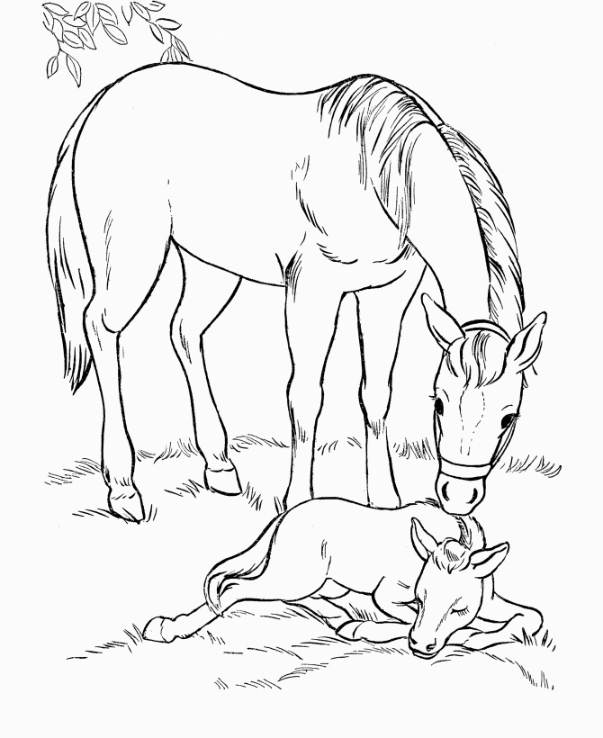 colouring horses horse coloring pages coloringpages1001com colouring horses 