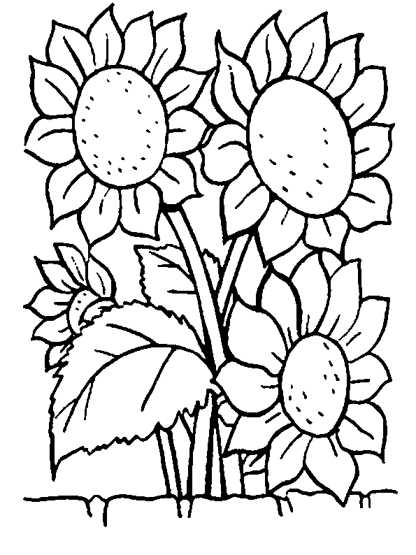 colouring page of flowers coloring pages of flowers 3 coloring pages to print colouring page of flowers 