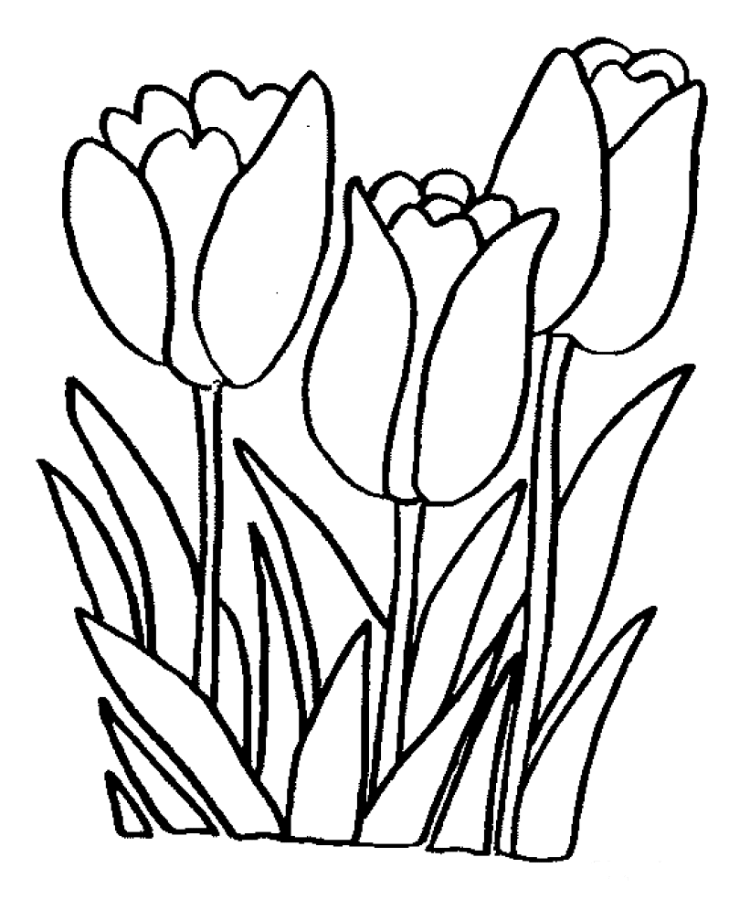 colouring page of flowers flowers coloring pages coloringpages1001com flowers page of colouring 