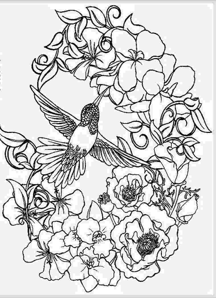 colouring pages adults online free pin em adult coloring book animals free colouring online adults pages 