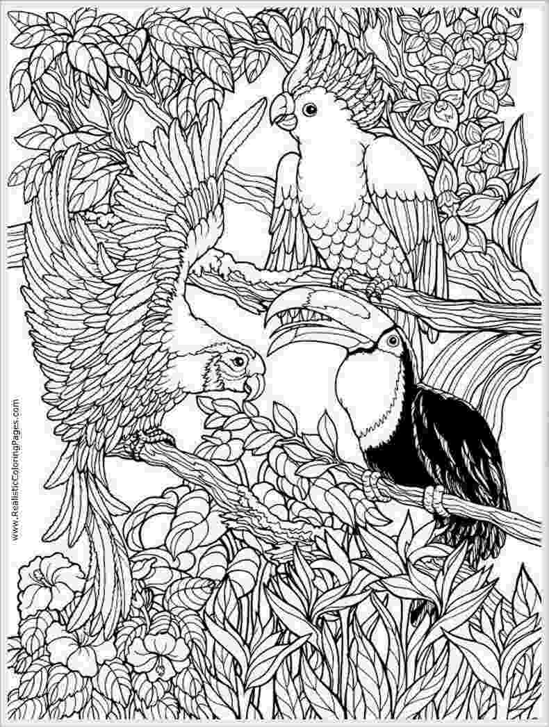 colouring pages adults online free お洒落な大人の塗り絵ぬりえ テンプレート 画像集 naver まとめ free online adults colouring pages 