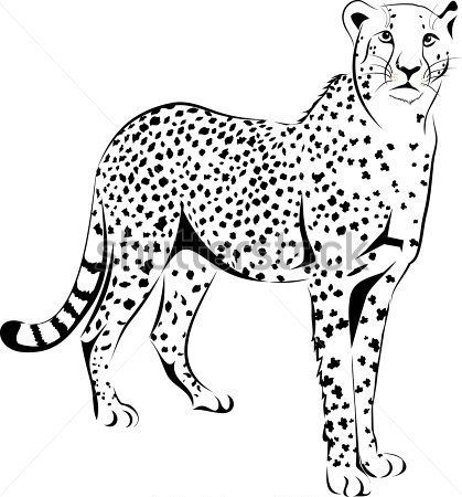 colouring pages big 5 animals african animals coloring pages printable coloring pages colouring animals pages 5 big 