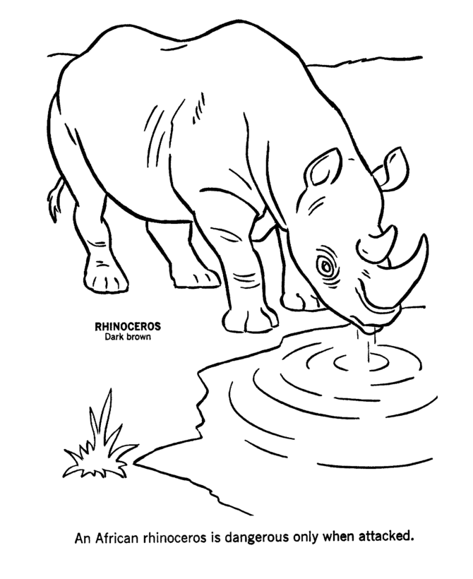 colouring pages big 5 animals african animals coloring pages wild animal coloring big pages colouring animals 5 