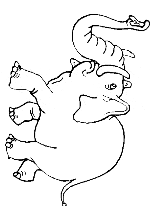 colouring pages big 5 animals elephant coloring free animal coloring pages sheets elephant colouring pages animals big 5 