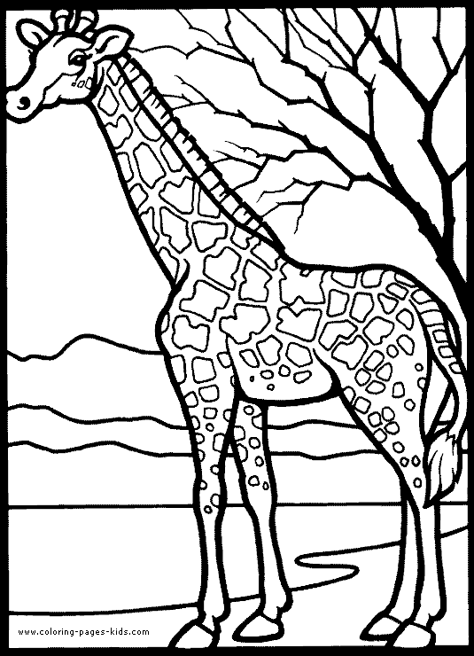 colouring pages big 5 animals giraffe color page animal coloring pages color plate colouring animals big 5 pages 