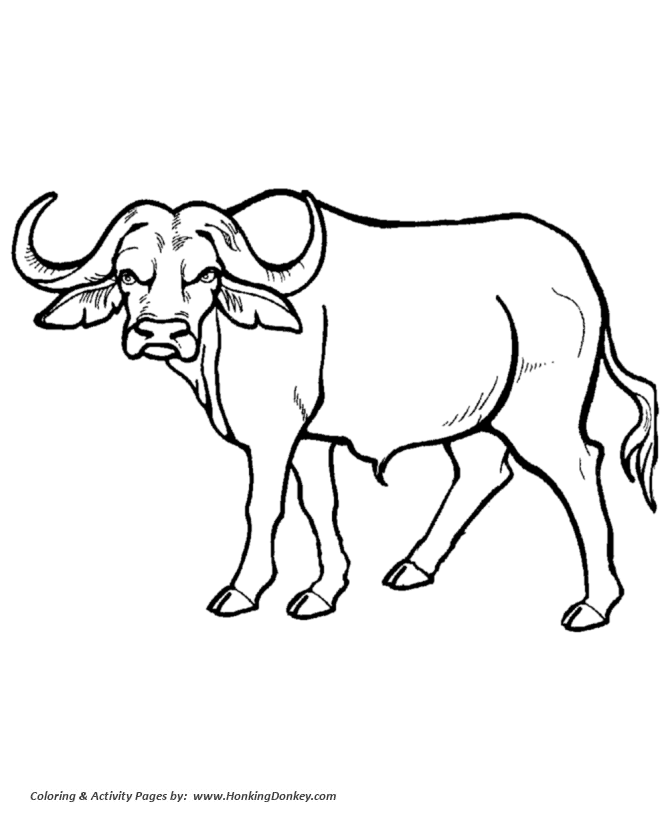 colouring pages big 5 animals pin on art pages colouring big 5 animals 