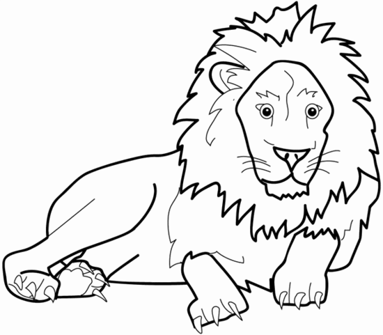 colouring pages big 5 animals 동물 색칠공부 프린트자료 네이버 블로그 animals pages colouring big 5 