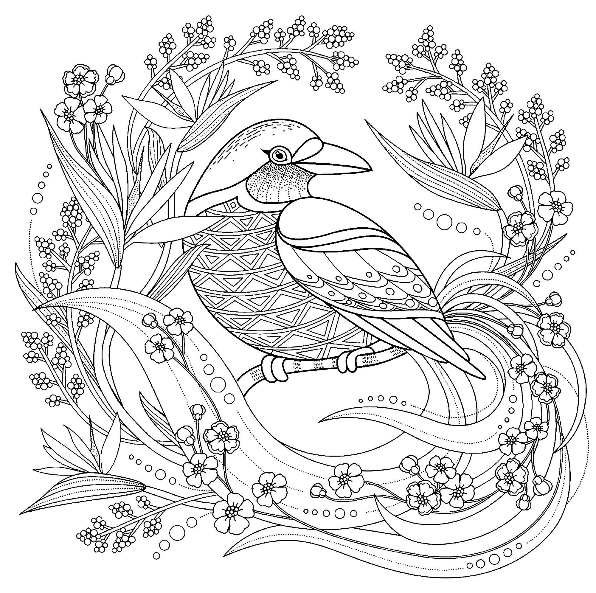 colouring pages for birds bird coloring pages pages colouring birds for 
