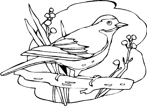 colouring pages for birds birds coloring pages getcoloringpagescom colouring for birds pages 