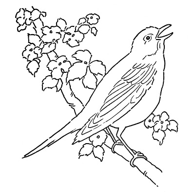 colouring pages for birds hummingbird printable coloring pages digital download of for colouring pages birds 