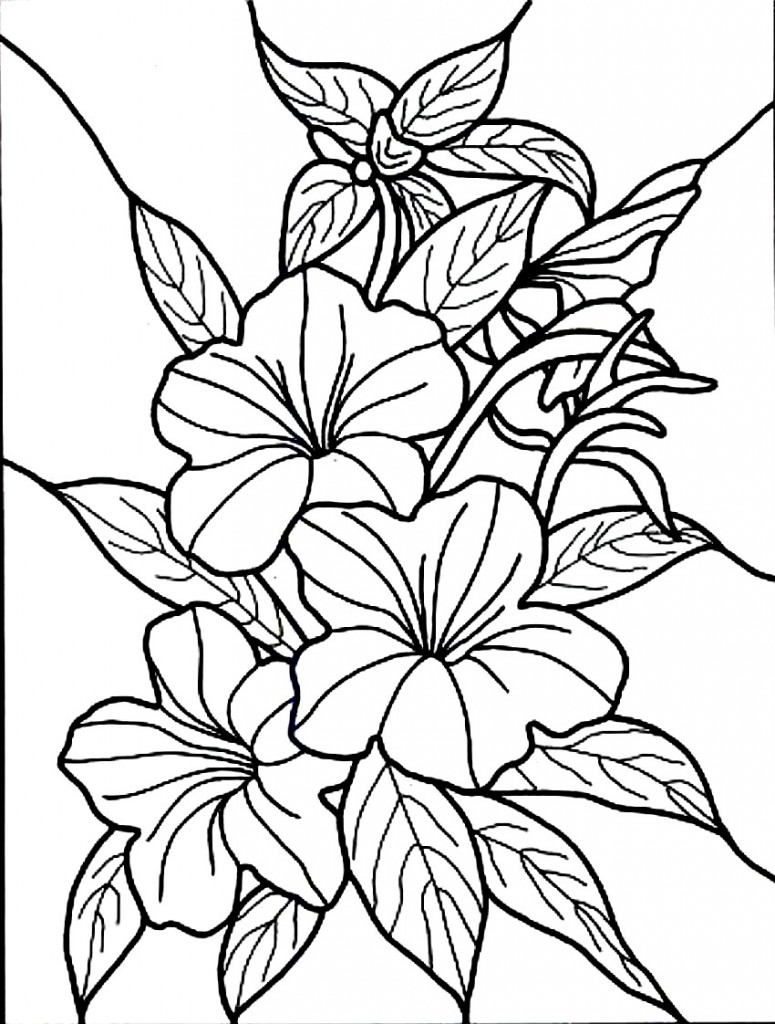 colouring pages hibiscus flower hawaii state flower drawing at getdrawings free download hibiscus colouring pages flower 