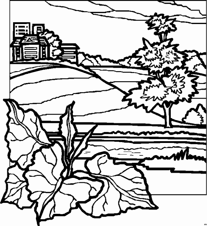 colouring pages landscapes landscape coloring pages to download and print for free landscapes colouring pages 