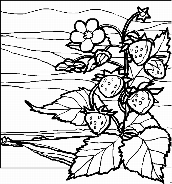 colouring pages landscapes landscape coloring pages to download and print for free landscapes pages colouring 