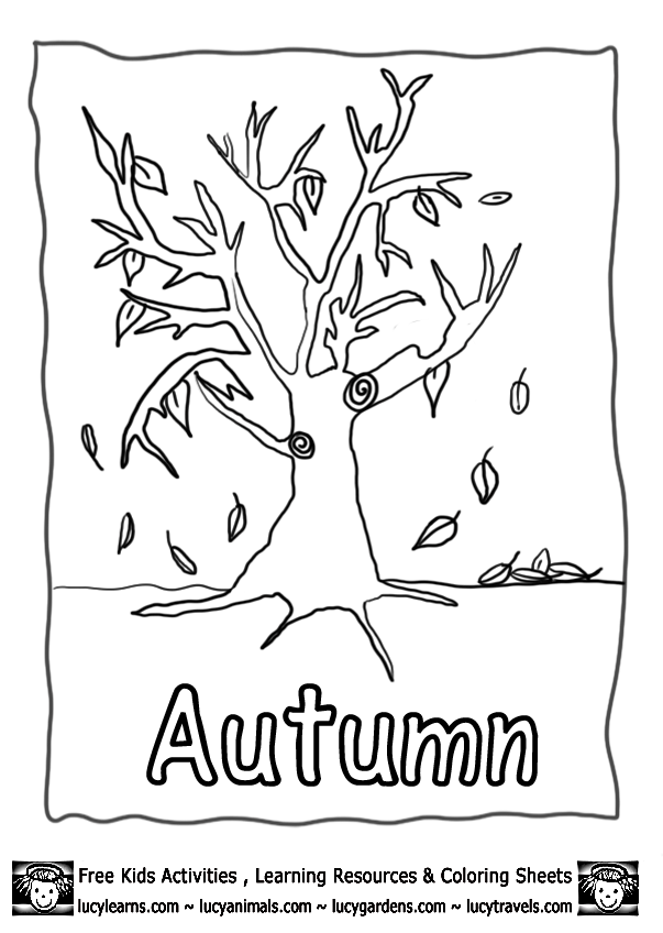 colouring pages of autumn trees autumn leaves coloring page free printable coloring pages pages of trees colouring autumn 