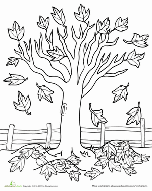 colouring pages of autumn trees autumn tree coloring page free printable coloring pages pages colouring autumn trees of 
