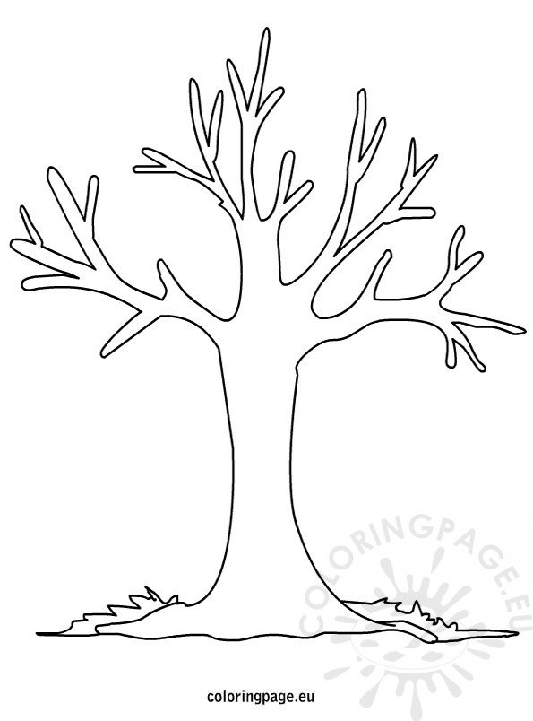colouring pages of autumn trees autumn tree coloring pages printable coloring page autumn pages trees colouring of 