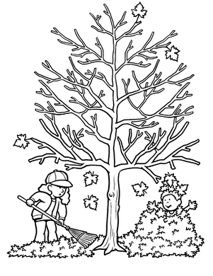 colouring pages of autumn trees maple tree coloring page tree coloring page fall trees of pages colouring autumn 