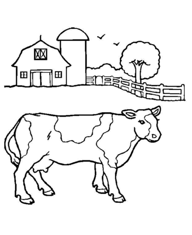 colouring pages of cow cute cow animal coloring books for kids drawing pages cow colouring of 