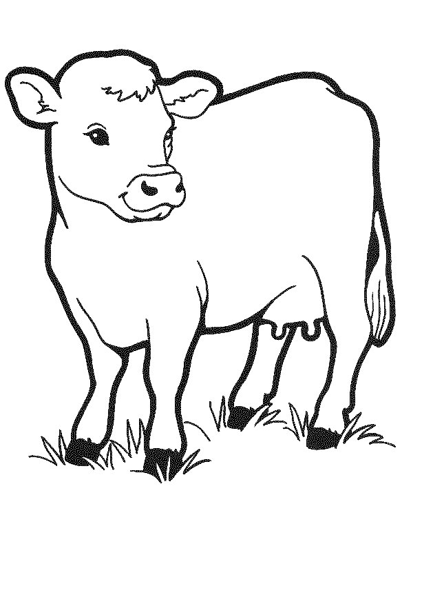 colouring pages of cow free printable cow coloring pages for kids cool2bkids colouring pages cow of 