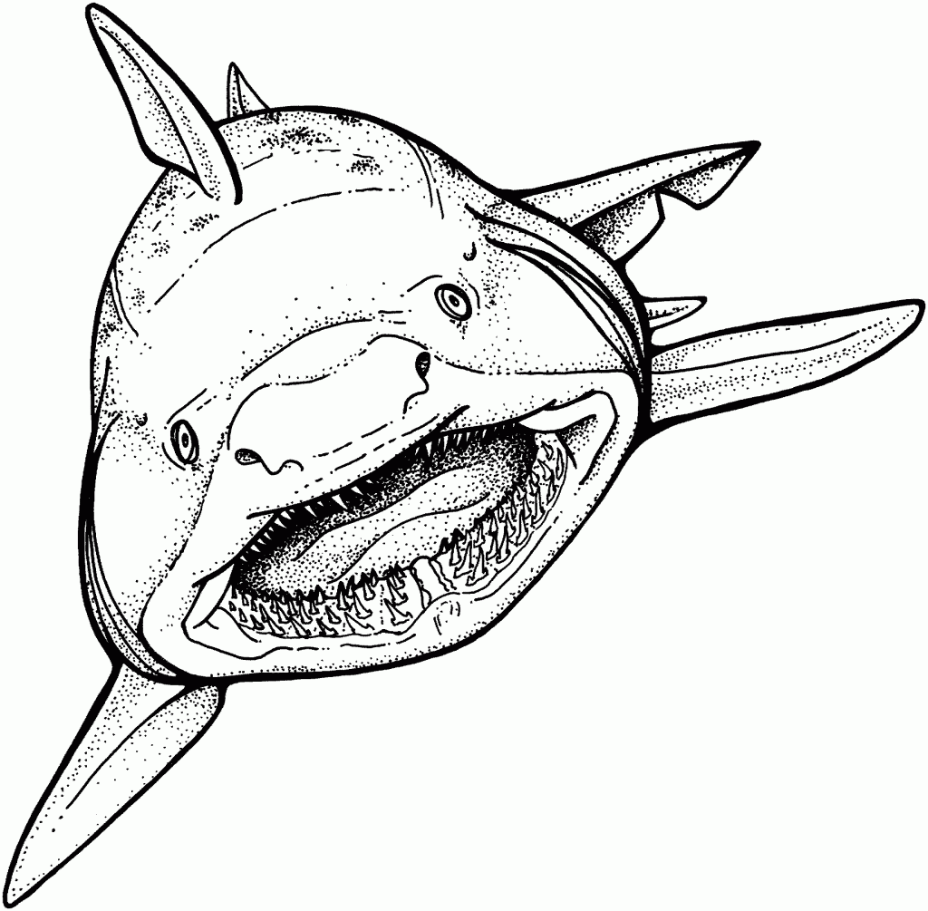 colouring pages of sharks shark coloring pages getcoloringpagescom pages of sharks colouring 