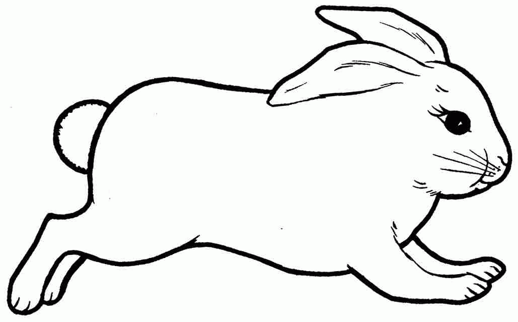 colouring pages rabbit realistic rabbit coloring pages coloring home pages colouring rabbit 
