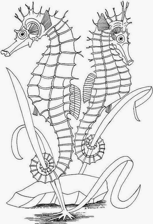 colouring pages to print free absalom coloring pages coloring home print to pages free colouring 