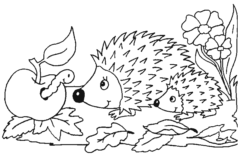 colouring picture hedgehog hedgehog coloring page getcoloringpagescom hedgehog picture colouring 
