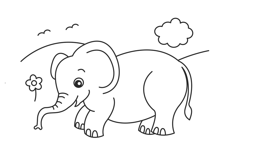 colouring picture of an elephant colours drawing wallpaper elephant cartoone colour elephant picture colouring of an 