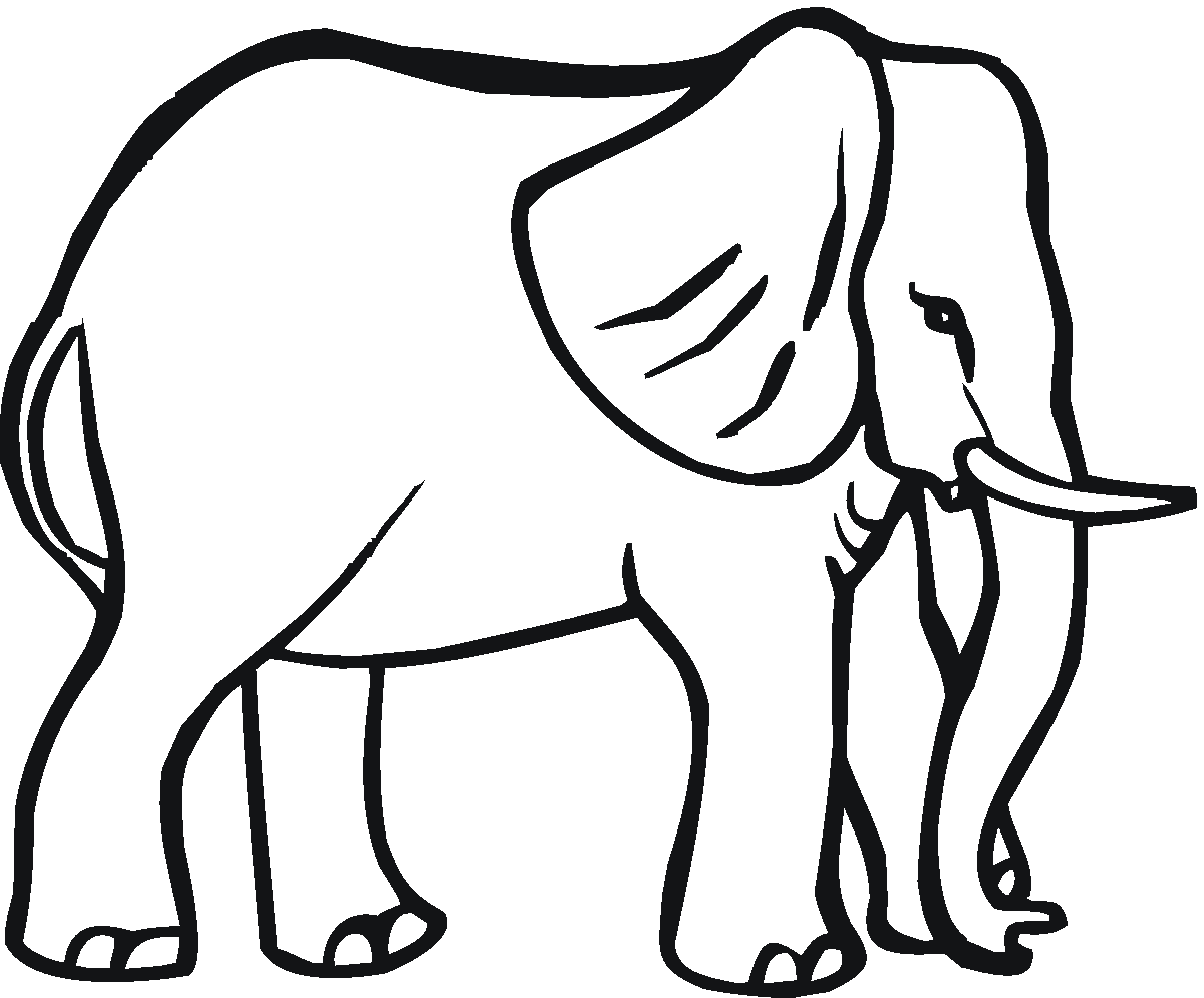 colouring picture of an elephant elephant coloring pages printable free printable kids picture an of colouring elephant 