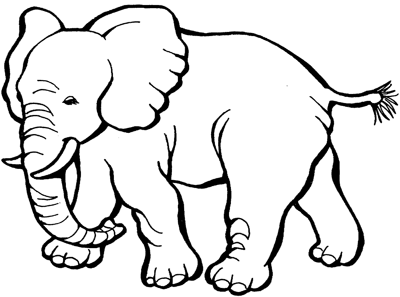 colouring picture of an elephant free printable elephant coloring pages for kids of colouring elephant picture an 