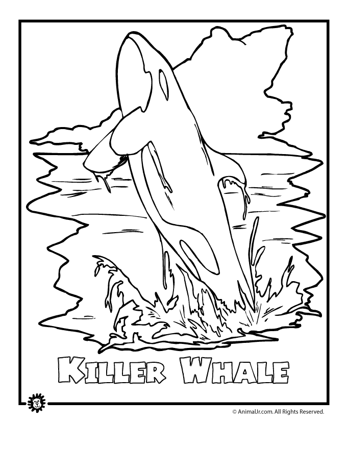 colouring pictures of extinct animals animal jr killer whale endangered animal coloring page extinct pictures colouring of animals 