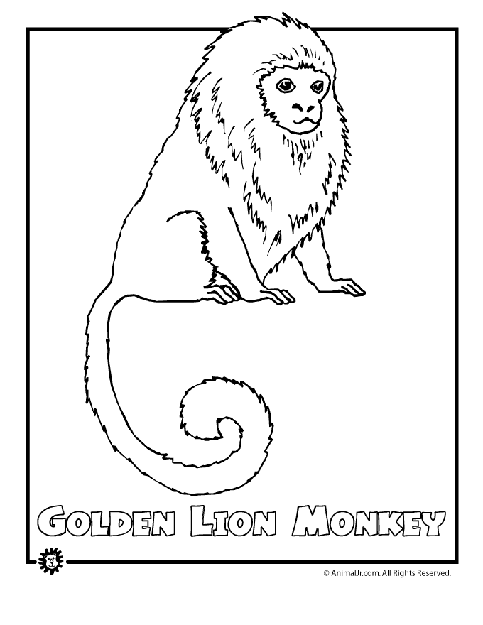 colouring pictures of extinct animals coloring pages of animals endangered plants driverlayer animals of colouring extinct pictures 