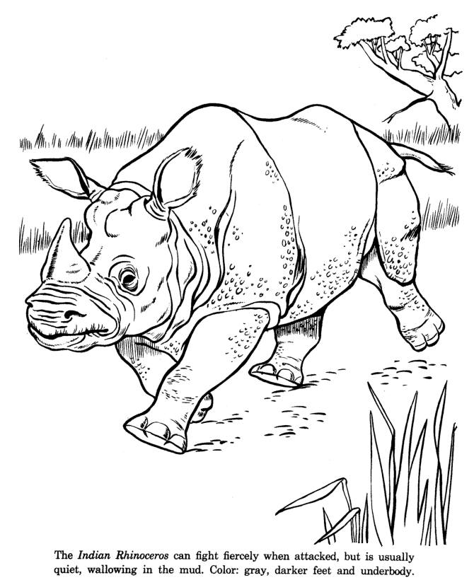 colouring pictures of extinct animals endangered animals drawing at getdrawingscom free for pictures of extinct animals colouring 