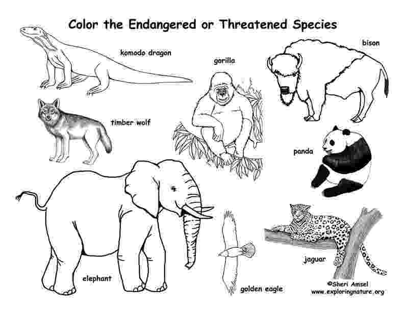 colouring pictures of extinct animals Χαρούμενο Δημοτικό Νοεμβρίου 2011 colouring of animals extinct pictures 