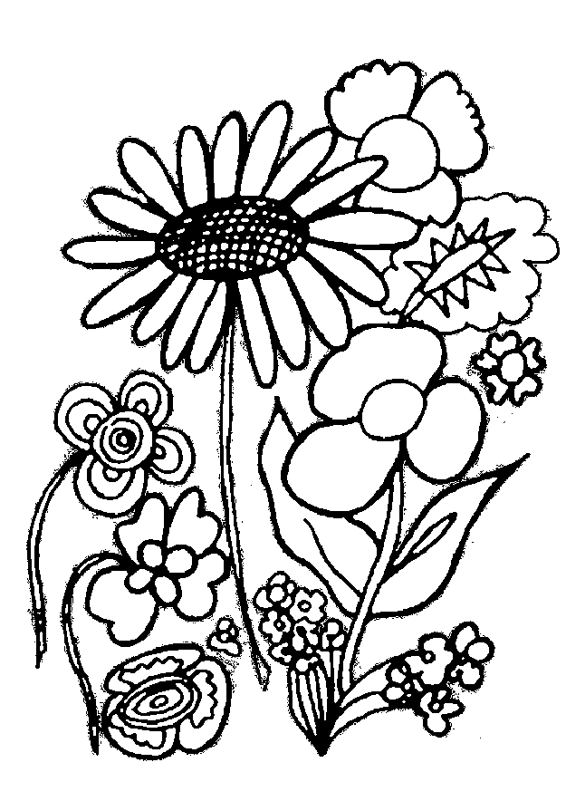 colouring pictures of flowers flower coloring pages choosboox of pictures flowers colouring 