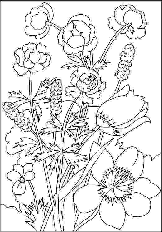 colouring pictures of flowers free printable flower coloring pages for kids best colouring flowers pictures of 