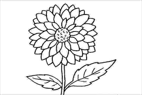 colouring pictures of flowers free printable flower coloring pages for kids best of colouring pictures flowers 