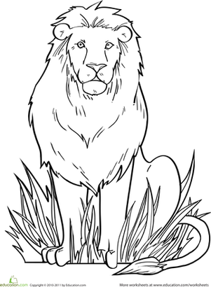 colouring pictures of lions free printable lion coloring pages for kids cool2bkids lions of pictures colouring 