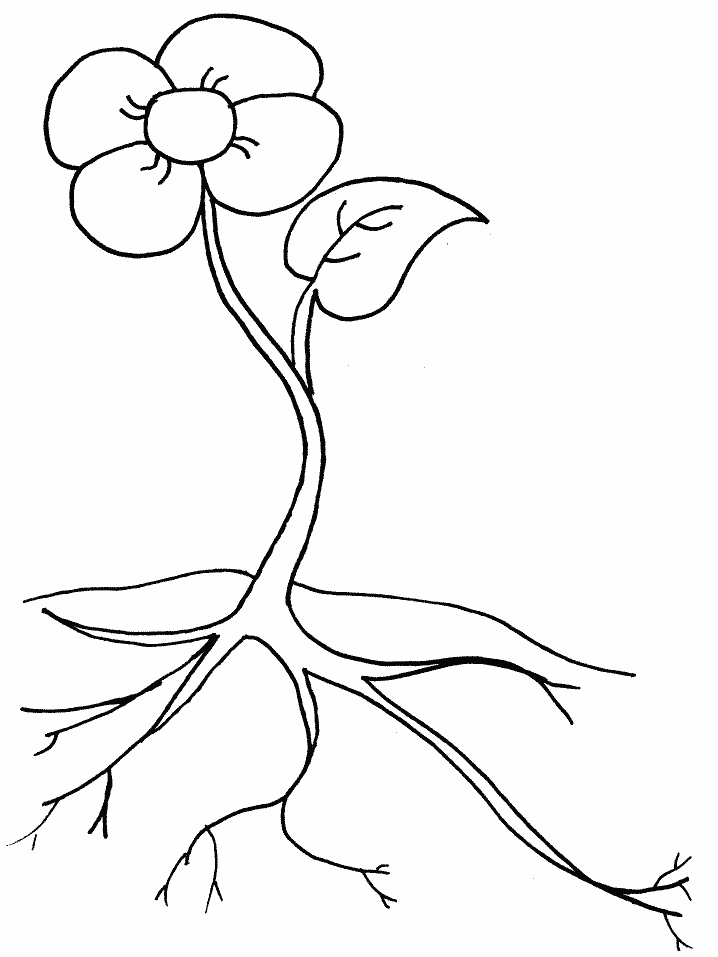 colouring sheets flowers and plants free printable flower coloring pages for kids best plants colouring flowers sheets and 