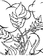 colouring sheets flowers and plants plant coloring pages coloring pages to download and print plants flowers sheets colouring and 