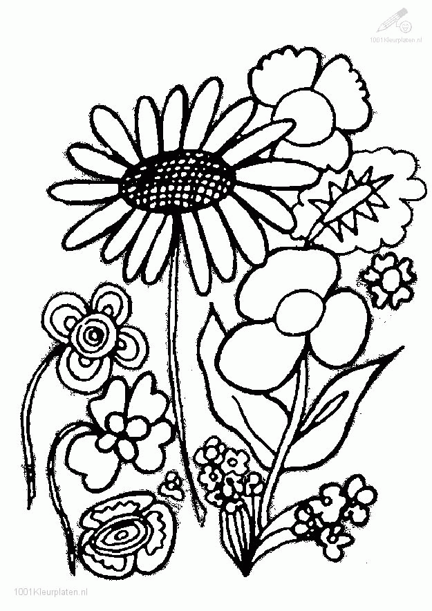 colouring sheets flowers and plants plant coloring pages to download and print for free sheets flowers colouring plants and 